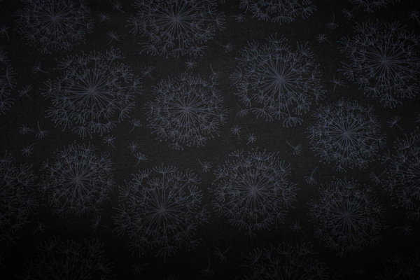 Designer-Baumwollstoff Dandelion black (10 cm)